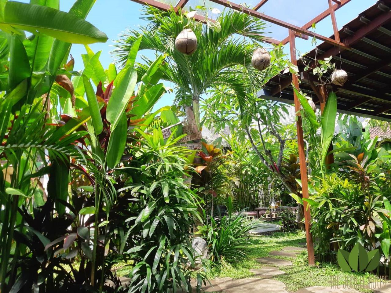 הוסטל קנגו The Jungle House מראה חיצוני תמונה